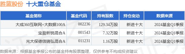 6月3日胜蓝股份涨1283%大成360互联网+大数据100A基金重仓该股(图1)