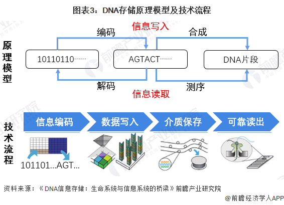 预见2024：DNA存储产业技术趋势展望(附技术路径、投资方向、专利布局、科技企业布局等)(图3)