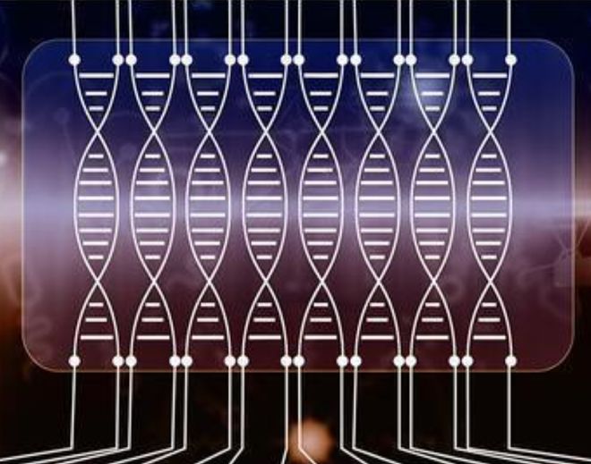 清华大学研发新型细菌彩珠硬盘15立方米可存储26亿TB数据(图1)