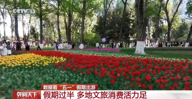 文旅热潮涌动大数据揭秘“五一”假期热门旅游地(图5)